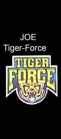 Logo Tiger-Force