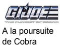Logo A la poursuite de Cobra