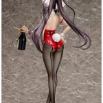 IS  Houki Shinonono: Bunny Ver.