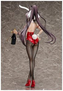 IS  Houki Shinonono: Bunny Ver.