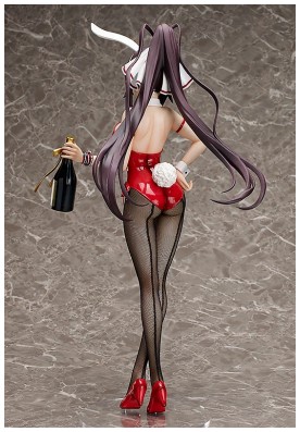 IS Houki Shinonono: Bunny Ver.